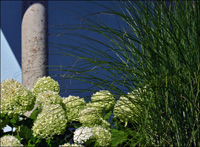 Gartengestaltung in Lindau am Bodensee