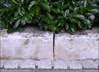 Gartengestaltung in Friedrichshafen