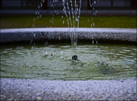 Gartenarchitekt Brunnen in Lindenberg