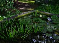 Gartenarchitekt Gartenteich Bad Waldsee in Oberschwaben